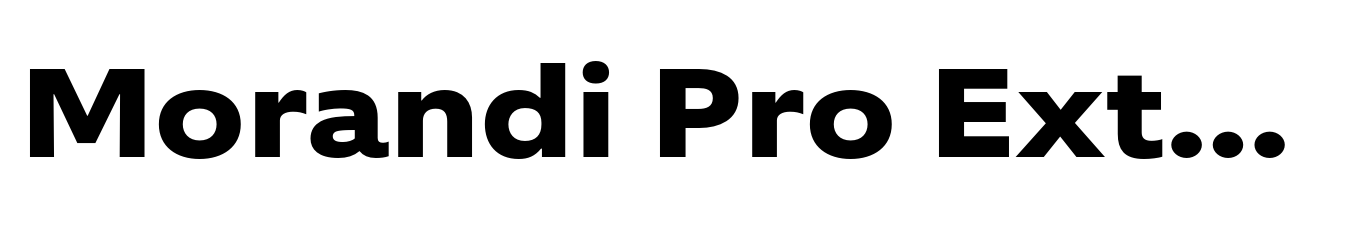 Morandi Pro Extended Bold